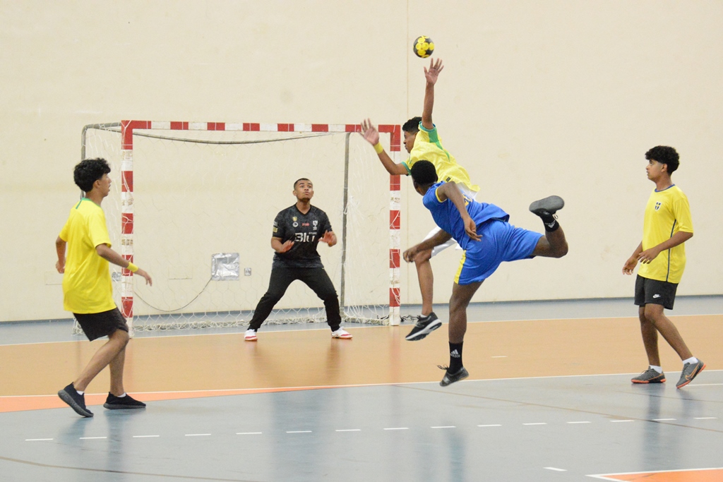 Handballsharqia4
