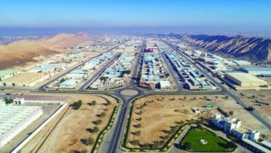 تطوير المناطق الاقتصادية المتخصصة