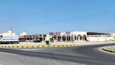 حركة تجارية نشطة بشناص