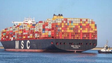 السلطنة الثامنة على العالم Copy 3