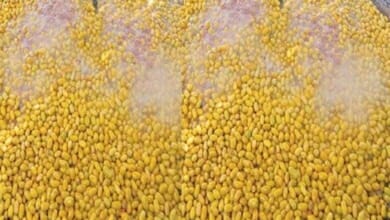 وزارة التجارة والصناعة والبسور Copy 6