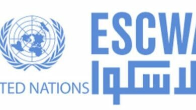 المنطقة العربية Copy