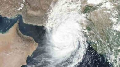 طارق ادريس Copy