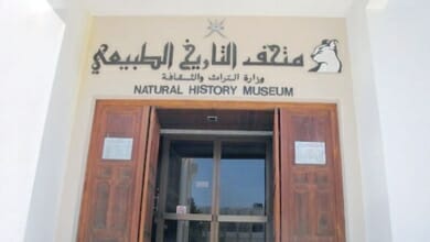 متحف التاريخ الطبيعي Copy