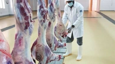 بلدية جنوب الشرقية Copy