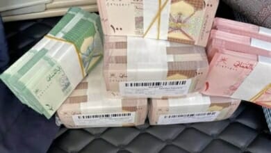 الايرادات Copy