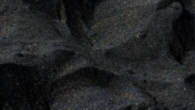 الرمال السوداء Copy