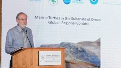 حماية البيئة Copy