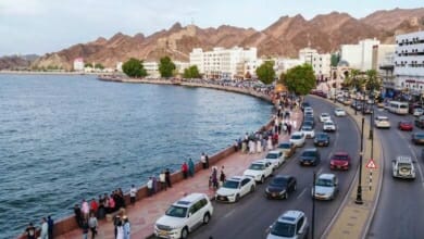 الاستثمار Copy
