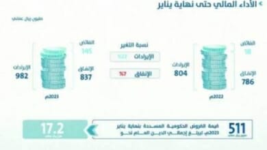 فائض في الميزانية Copy