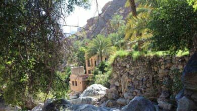 قرية الفراعة Copy