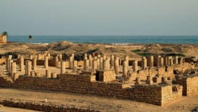 برنامج البعثات الأثرية Copy