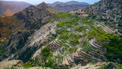 موسم السياحة الصيفية Copy