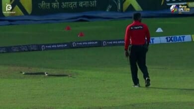 أفعى في الملعب Copy