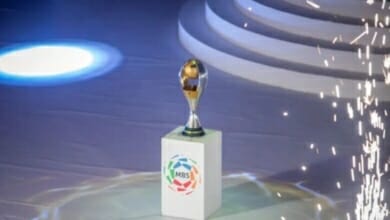 تغريدة مثيرة Copy