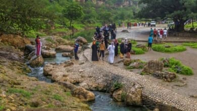 خريف ظفار Copy 1