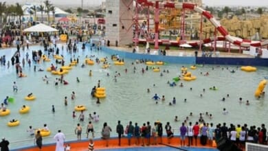 خريف ظفار Copy