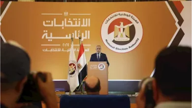 الإنتخابات المصرية