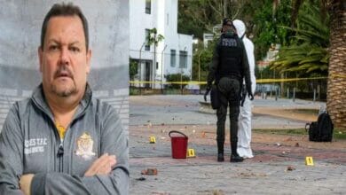 تيغريس الكولومبي