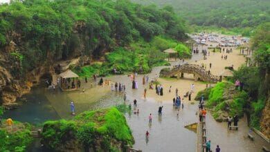 السياحة والعائدات 1