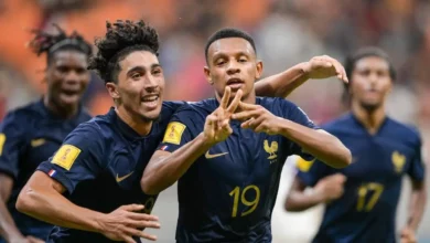 فرنسا أوزبكستان