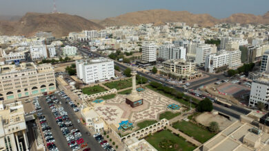 سيولة محلية