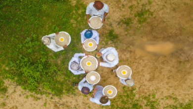 وزارة السياحة وفنون الطهى 1 1