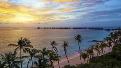 Aerial Shot Mood Shot