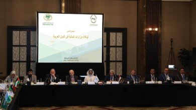 وكلاء المالية