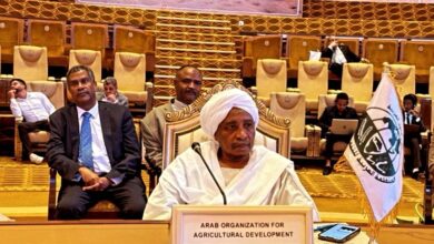 جائزة خليفة لنخيل التمر