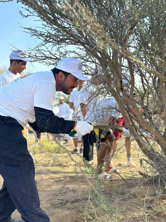 سناو الخير 2