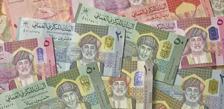 السيولة المحلية
