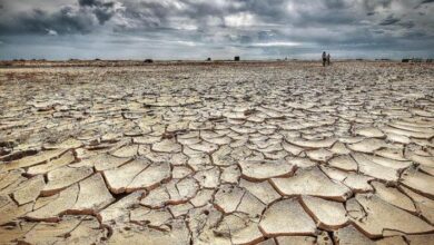 الصندوق والتغير المناخي