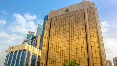 الصندوق والفرص والتحديات