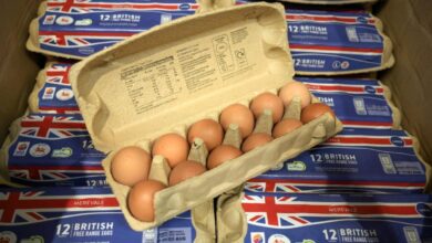 بريطانية تسرق بيض