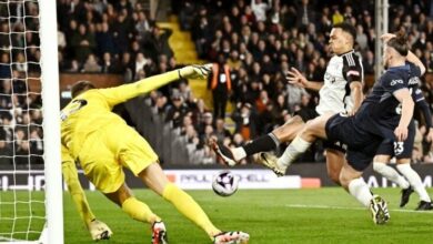 فولهام توتنهام