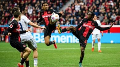 ليفركزون هوفنهايم