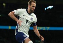 Harry Kane celebrates scoring the first goal against Ireland