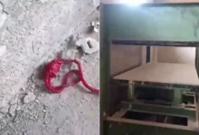 Hydraulic Execution Press in Syria