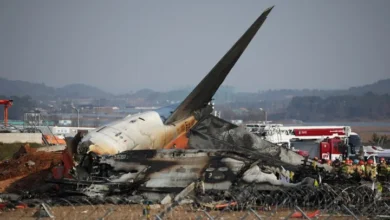 South Korean Boeing 737-800 after horrific crash