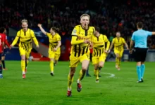 بروسيا دورتموند