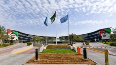 الجامعات