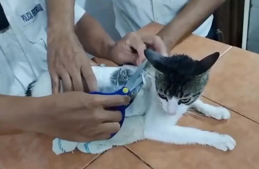 تهريب