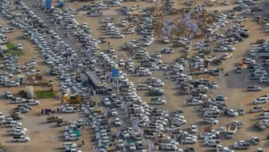 الهبطات