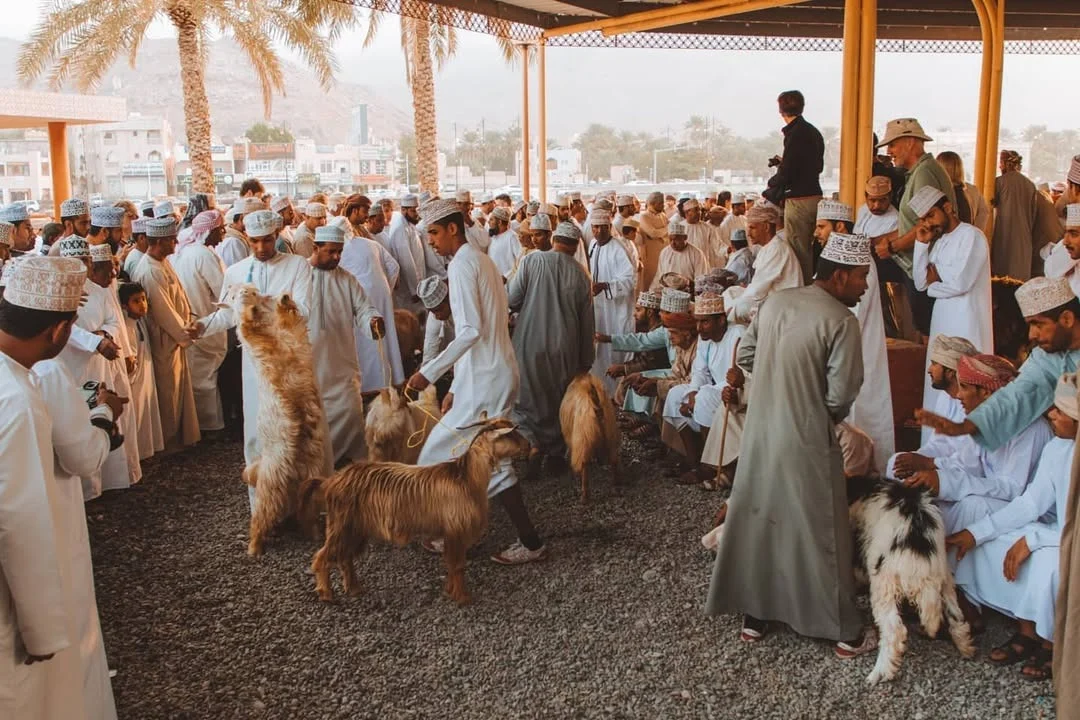 الهبطات