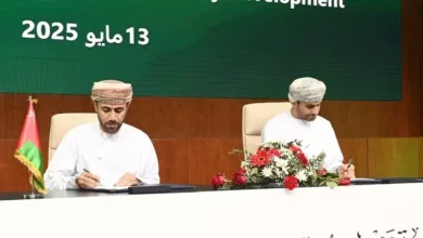 تنمية