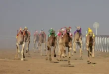 مهرجان