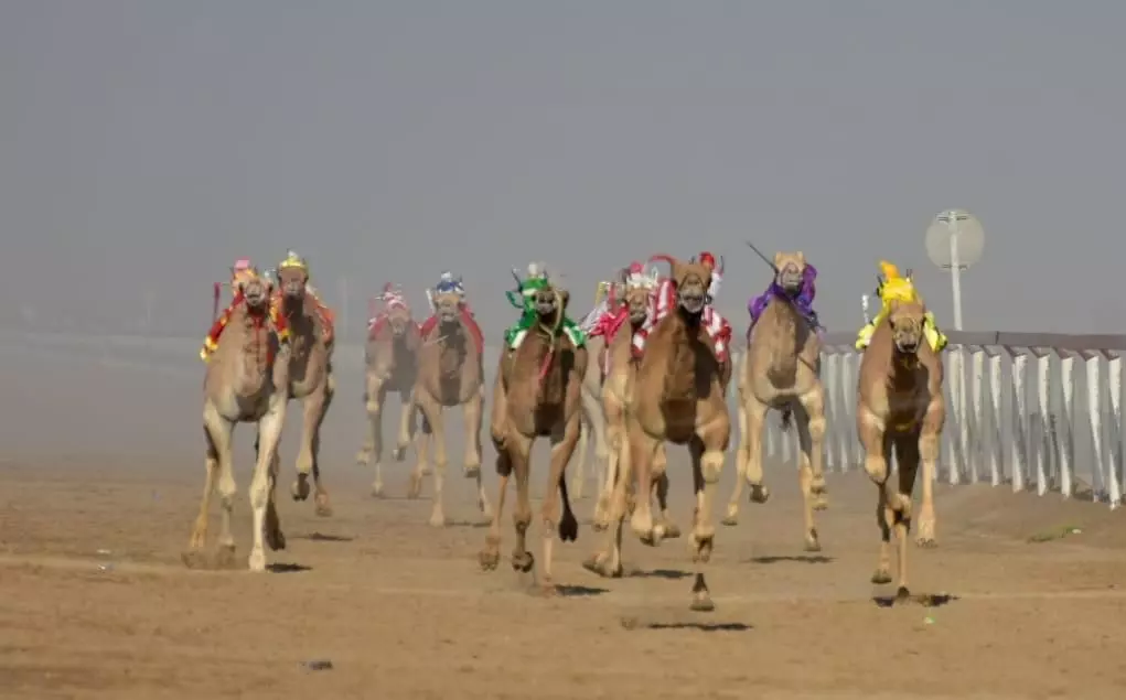 مهرجان
