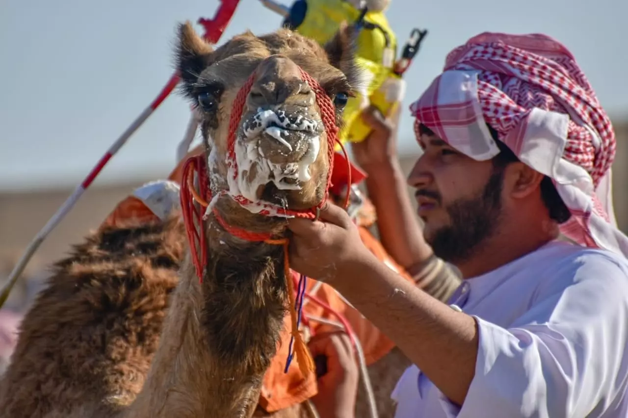 مهرجان