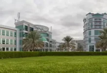 واحة المعرفة